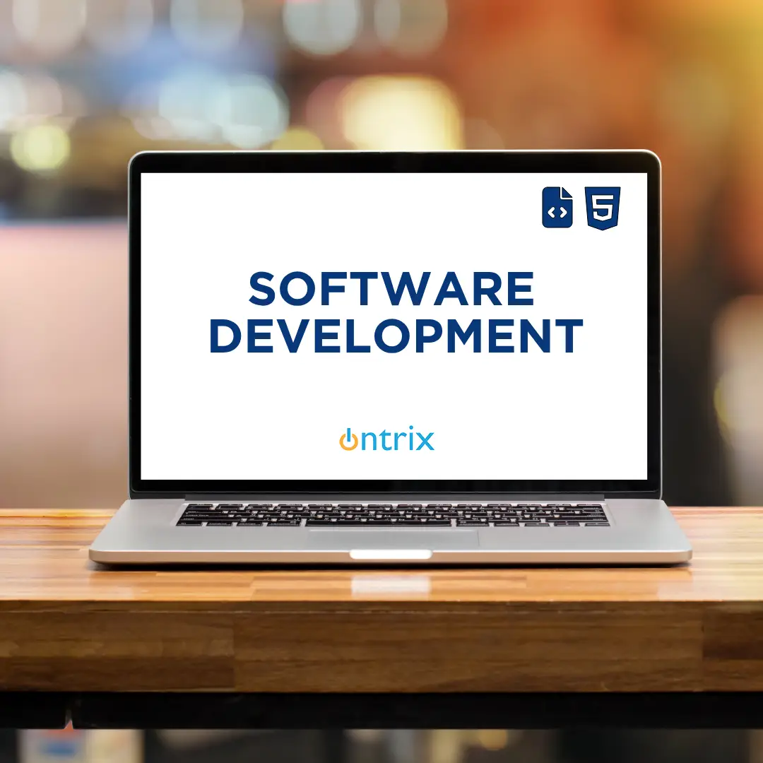 SEO Company Woodland Hills - Software Development